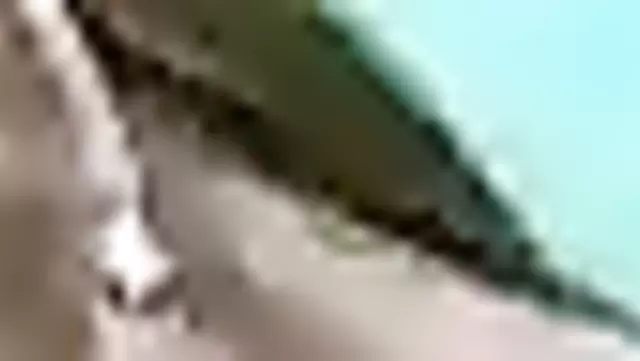 Özbek bir kadından kocasına güzel bir oral şov.